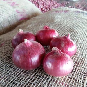 Nashik Onion